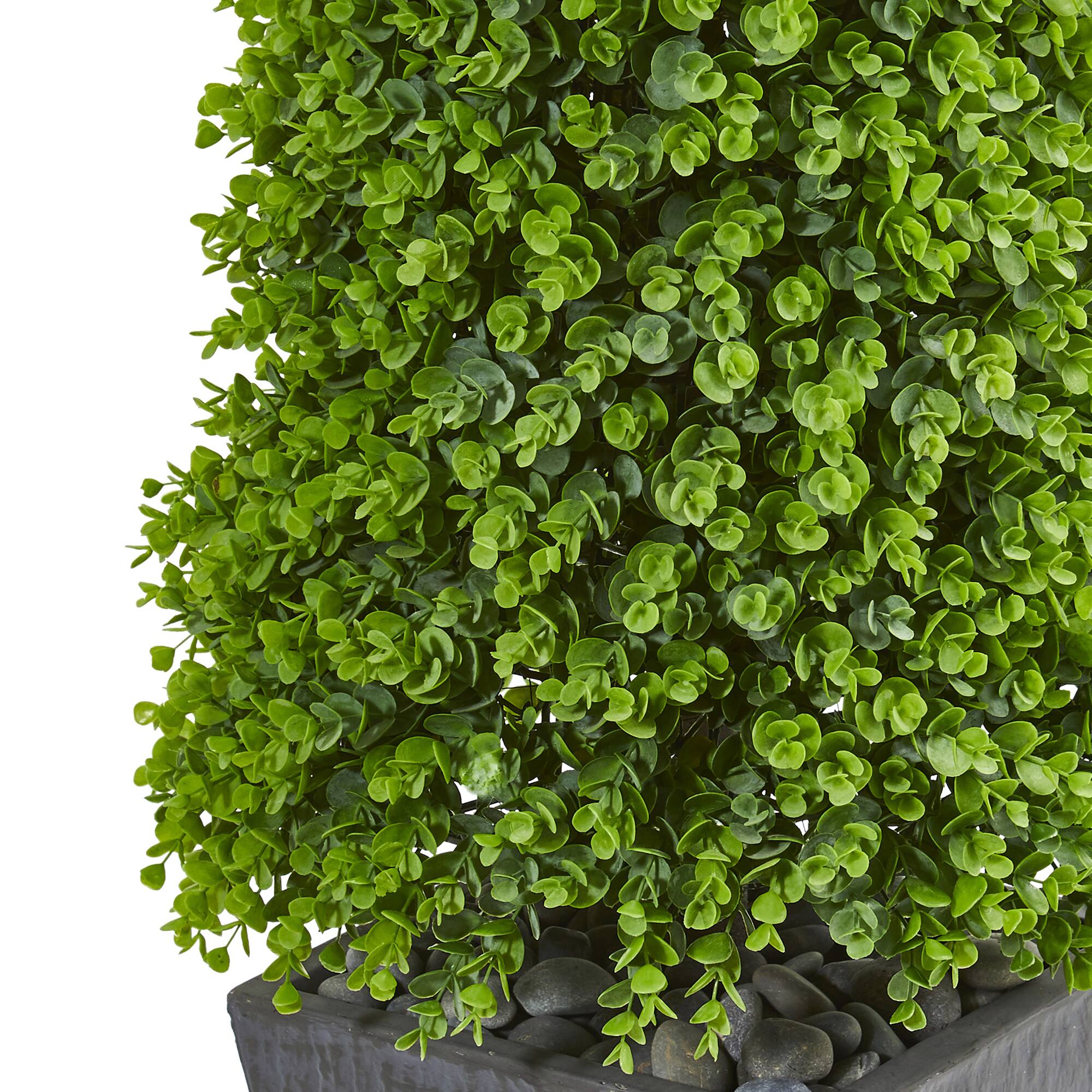 5ft. Eucalyptus Topiary Tree in Slate Planter
